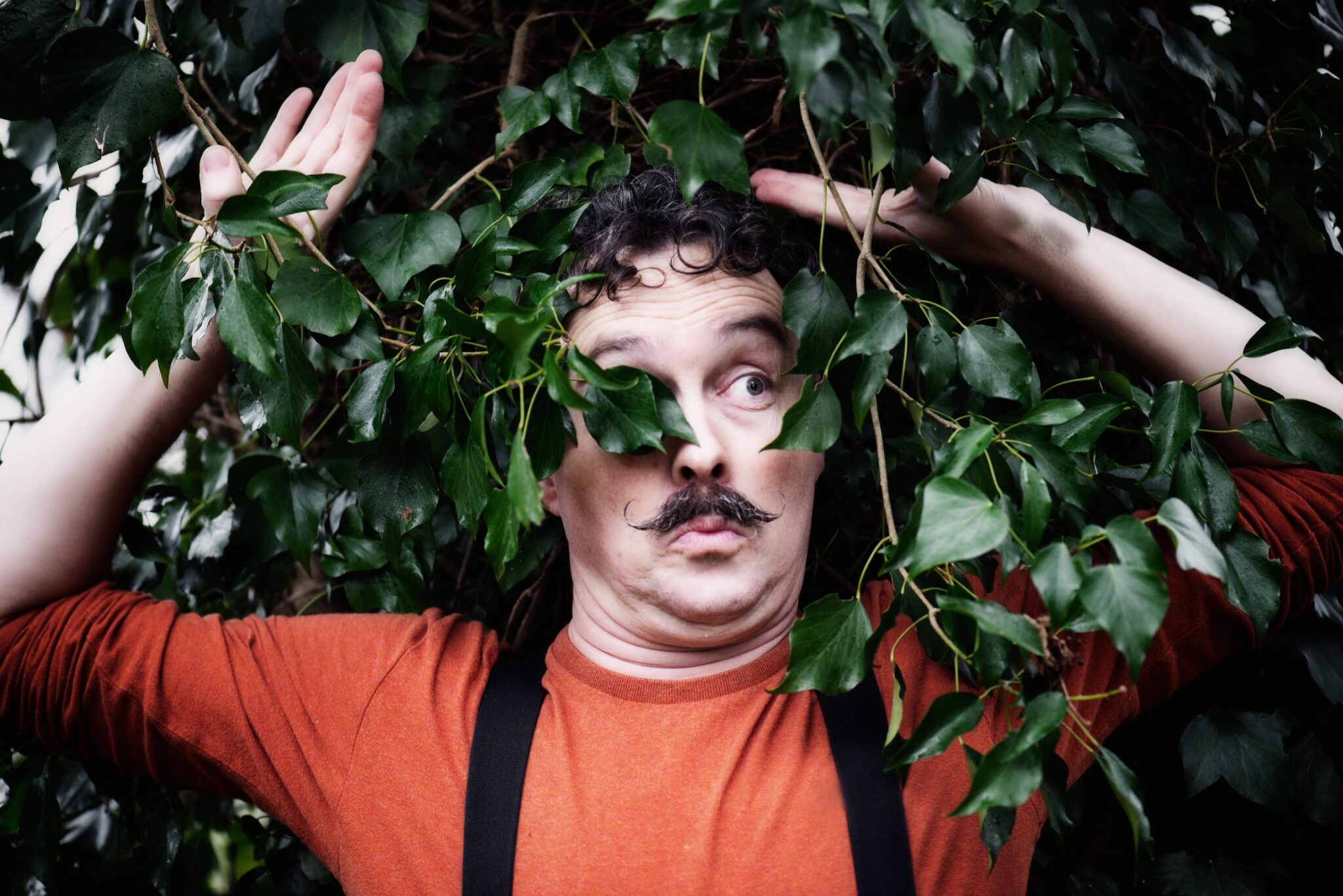 Du bruit dans les feuilles